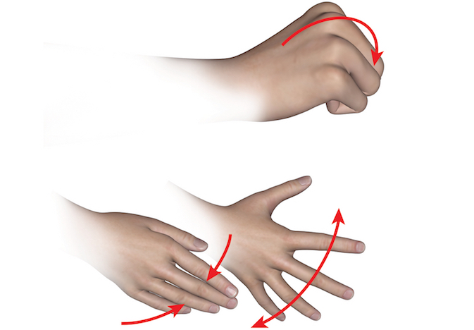 C8 motor activity examined by testing finger flexors and ulnar intrinsic muscle function